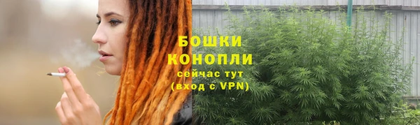 крисы Дмитриев