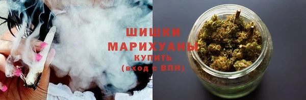 стафф Ельня