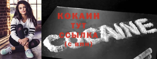 стафф Ельня