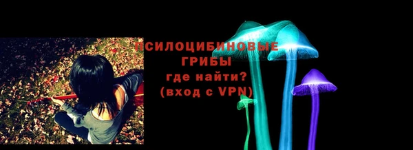 дживик Елизово