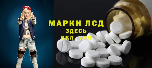 индика Гусиноозёрск