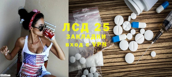 индика Гусиноозёрск