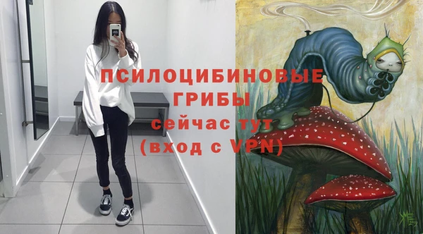 крисы Дмитриев