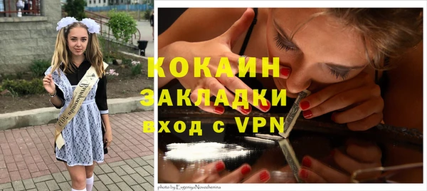 крисы Дмитриев