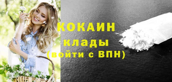 соль ск Гусев
