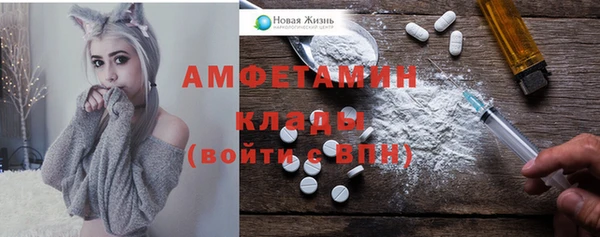 индика Гусиноозёрск