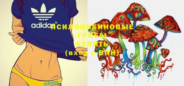дмт Туринск
