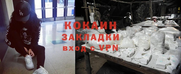 индика Гусиноозёрск