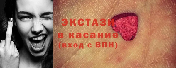 индика Гусиноозёрск