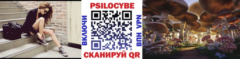 Псилоцибиновые грибы Cubensis  дарнет шоп  Гуково 